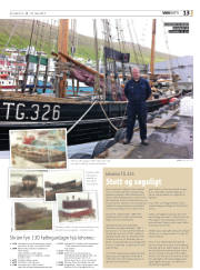 Síða 41
