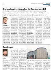 Síða 21