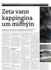 Síða 22