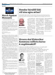 Síða 26