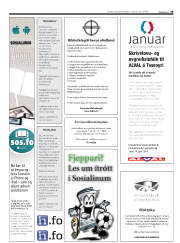 Síða 29