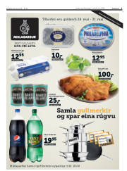 Síða 3