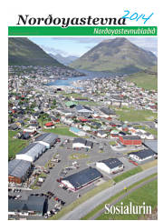 Síða 25