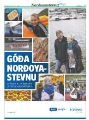 Síða 29