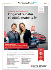 Síða 31