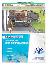 Síða 39