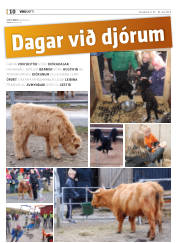 Síða 34