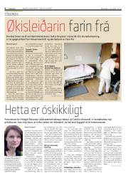 Síða 6