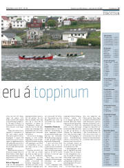 Síða 15