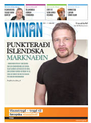 Síða 17