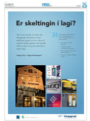 Síða 41