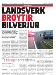 Síða 8