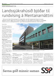 Síða 18