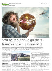 Síða 30