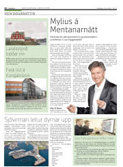 Síða 36