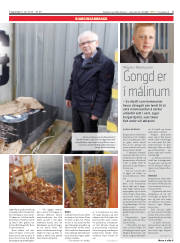 Síða 5