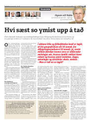 Síða 11