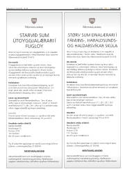 Síða 13