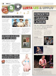 Síða 32