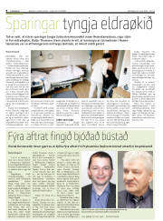 Síða 8