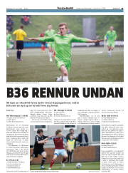 Síða 19