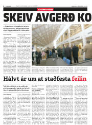 Síða 8