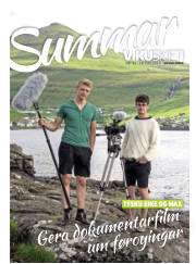 Síða 11