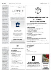 Síða 28