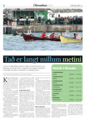 Síða 8