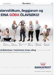 Síða 15