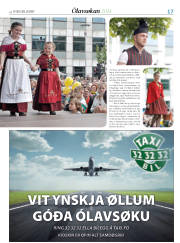 Síða 17