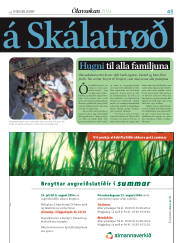 Síða 45