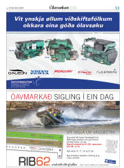 Síða 53