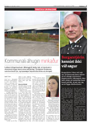 Síða 5