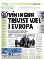 Síða 14