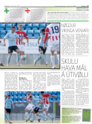 Síða 15