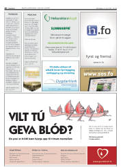 Síða 20