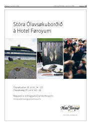 Síða 19