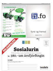 Síða 20