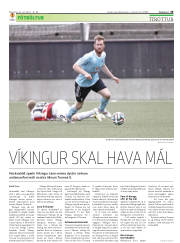 Síða 29