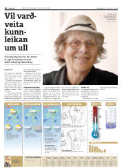 Síða 20