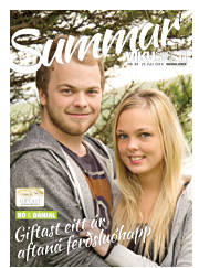Síða 21