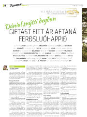 Síða 28