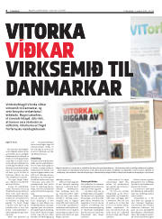 Síða 6