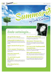 Síða 22