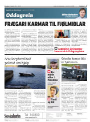 Síða 2