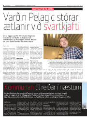 Síða 6