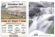 Síða 2