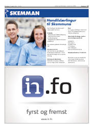 Síða 17