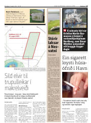 Síða 19